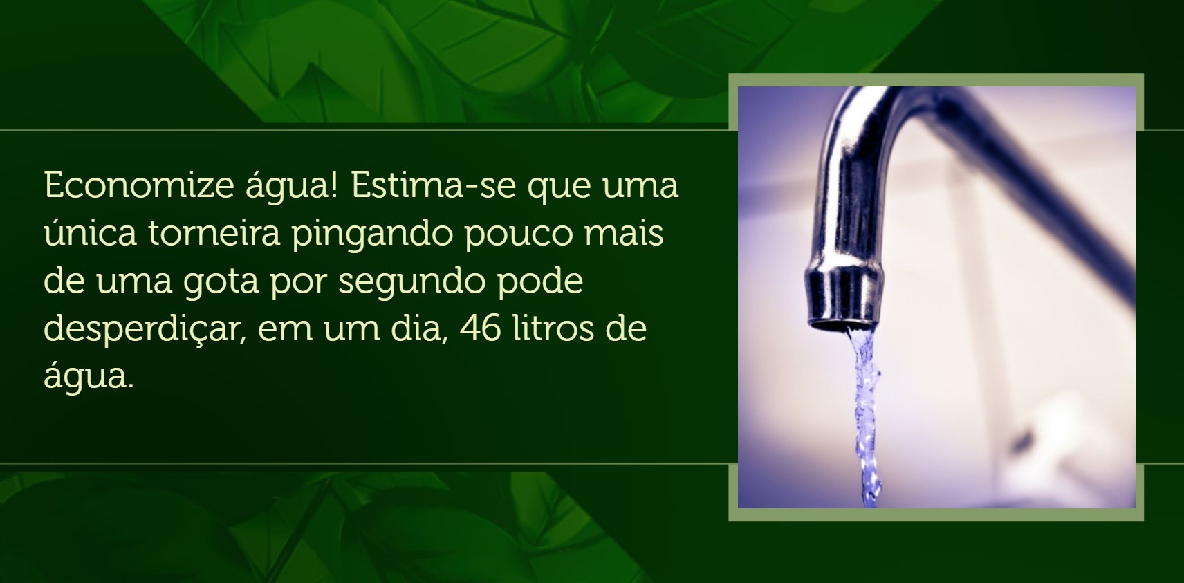 Sustentabilidade
